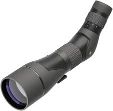 Leupold SX-2  Alpine HD Spotting scope 20-60x80